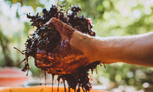 squeezing juice out of grapes