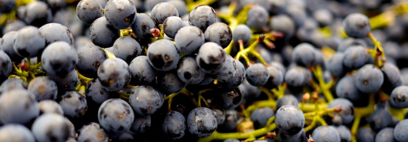 Business Updates Relating to COVID-19