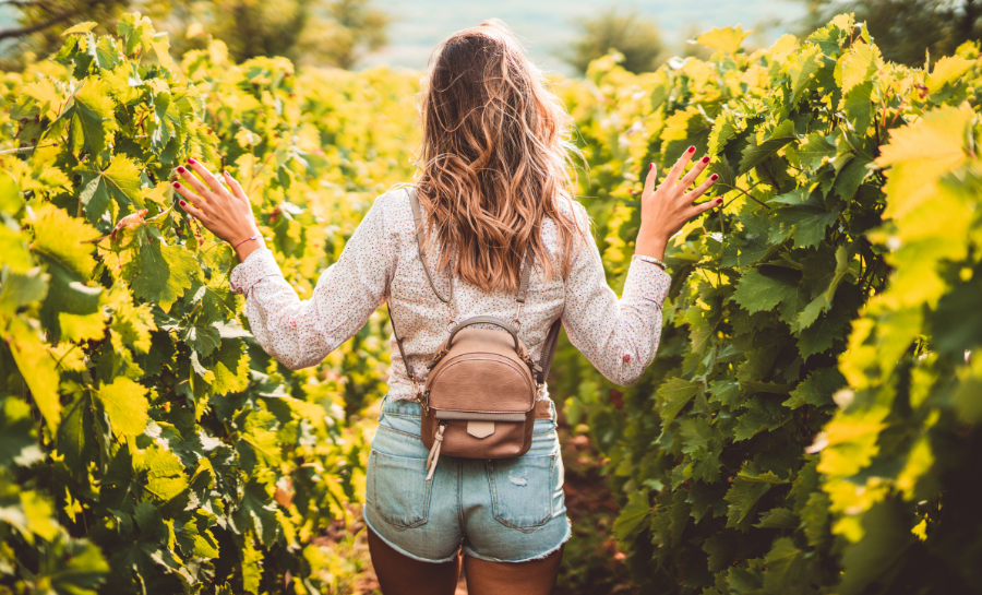 women walking through a vineyard